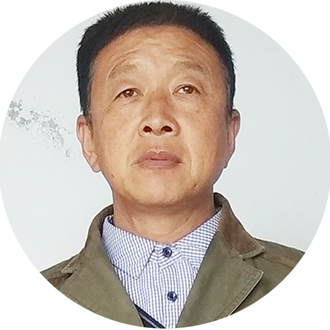 示例图片